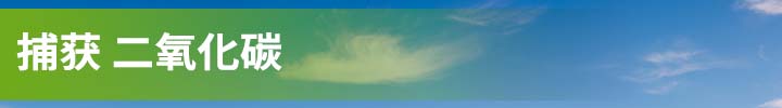捕获 二氧化碳