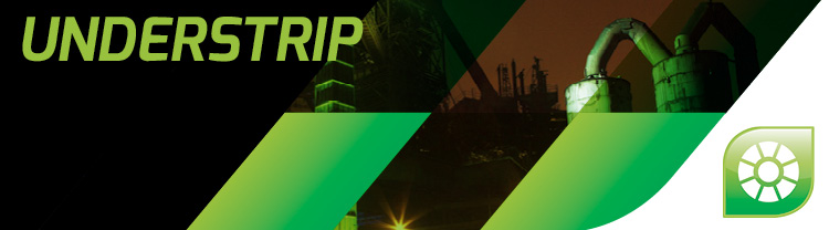 AMETEK Land Industry Application Specific - Understrip Thermometer