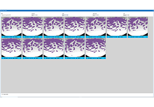 ImagePro Glass AI