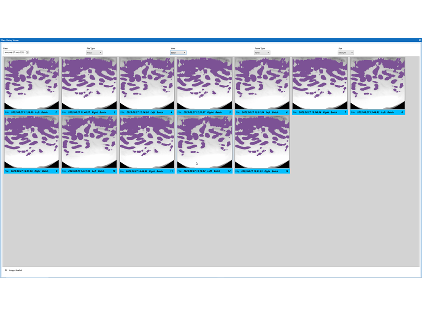 ImagePro Glass AI